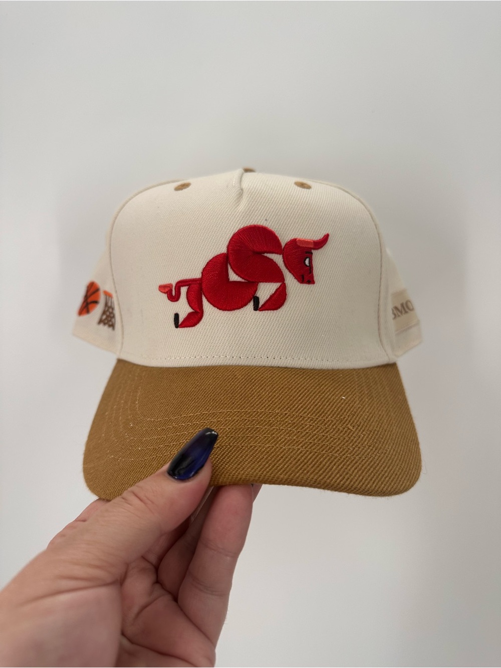 Limited Edition Chicago Bulls Snap Back Hat Designed by Alyssa Low